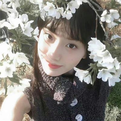 流星花园剧场版